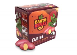 Earth Apples Seed Potatoes - Cerisa