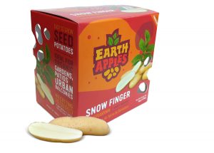 Earth Apples Seed Potatoes - Snow Finger